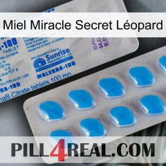 Miel Miracle Secret Léopard new15